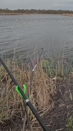 Мордобой с карасем!