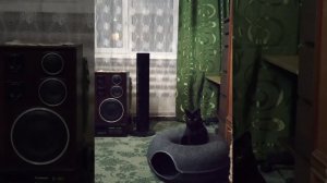 Индифферентно