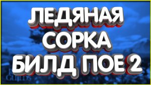 👑Вопреки Мете ЛЕДЯНАЯ СОРКА комьюнити БИЛД ice nova stormweaver sorc comet кометы нова пое 2