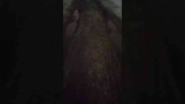 13 марта 2025 г., 20:23:20
ул. Полины Осипенко - мусор
VID_20250313_202113892