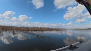 Ловля сазана и крупного карася на поплавок в зарослях камыша. Рыбалка на удочку в тихом месте.