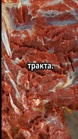 Как говядина спасает ваш кишечник