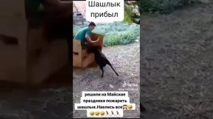 Купили барана на шашлык 😁