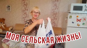 Покупки!Работа в цветнике и огороде.Вкусные запечённые яблоки!