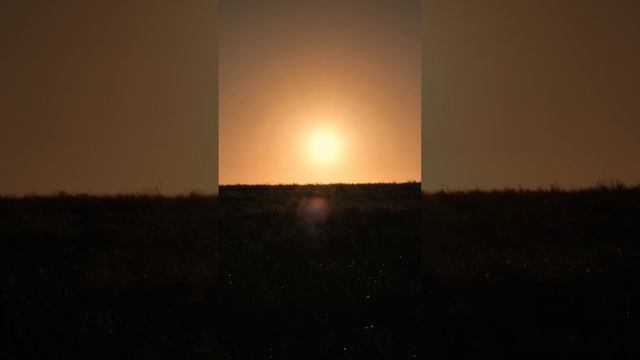 Ночь таит в себе загадки