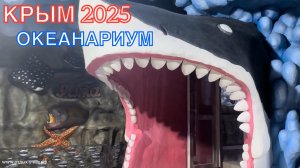 КРЫМ 2025 | ЯЛТИНСКИЙ ОКЕАНАРИУМ | 2 МАЯ ❤️🌊⛰🌴🏖🐬☀️