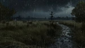 Ветреный дождь и отдаленный раскат грома ⛈