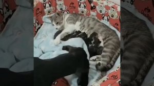 Опытная мамочка помогает не очень опытной 🥰😍❤️