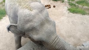 ГЕЛЕНДЖИК САФАРИ ПАРК