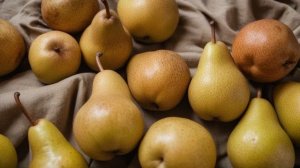 Как бороться с вредителями и болезнями груши - Деревья