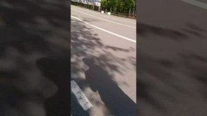 Я в дубраве с Викой