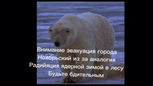 пожалуйста будьте бдительными