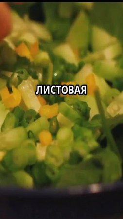 Как инсулин влияет на похудение