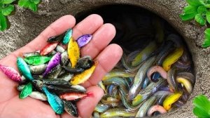 Мультики для детей и всей семь в мире животных