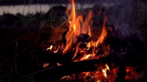 Наедине с самим собой, сл. В. Шентала, муз. и исп. ИИ SUNO