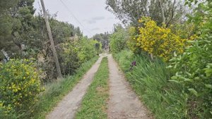Первые растения и рассада куплены, поэтому будем бродить и размышлять, кого и куда приземлить!