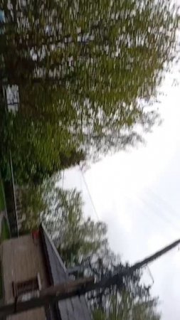 scene_output.mp4