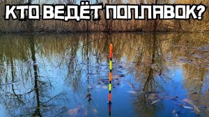 ВЕСЕННИЙ РАЗЛИВ ВЫДАСТ КРУПНЯК?! ОНО клюёт в ТАЛЬНИКЕ! Рыбалка на поплавок и фидер 2025