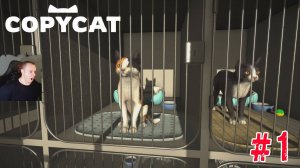 Copycat #1 ➤ Прохождение игры Копикэт ➤ Играем за Кошку
