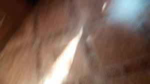 Обосралипсис 2