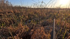 СЕЛЕЗНИ ПРУТ ДУРОМ На подсадную