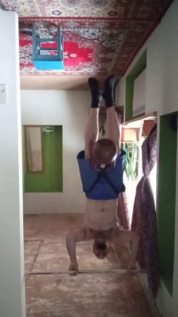 Подтягивания с доп.весом ( вверх ногами 😂)
