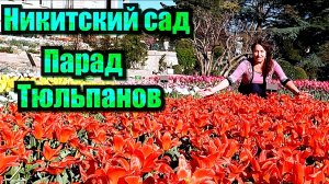 Невероятно! Ослепительный шёлк лепестков 110 000 тюльпанов под крымским солнцем на склонах Ялты!