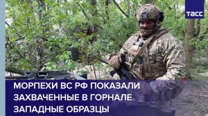 Морпехи ВС РФ показали захваченные в Горнале западные образцы