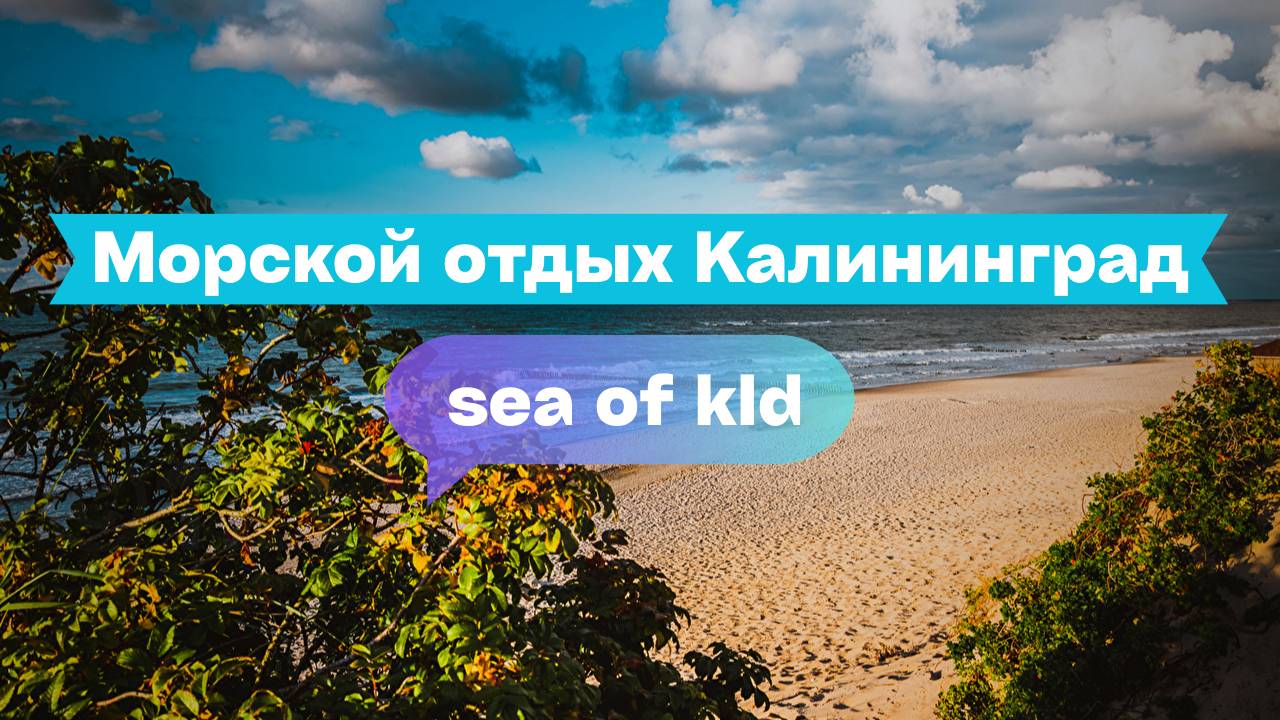 Морской отдых в России: Калининградская область, Балтика, песок и сосны