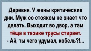 Как Зять Тёщу Тарабанил! Сборник Свежих Анекдотов! Юмор!