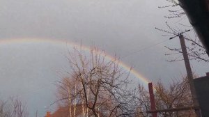 Первая радуга, нарциссы и мои питомцы!