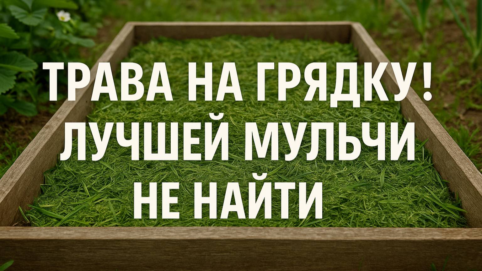 Чем мульчировать грядки весной? Я выбираю траву!