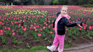 150 тысяч тюльпанов в дендрарии Краснодара