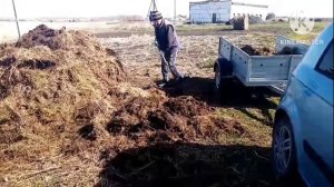 занимаемся огородом