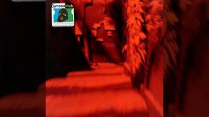«Гигантский Милиционер следит за каждым твоим шагом» — Militsioner