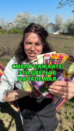 Сажайте эти цветы в начале мая, они не боятся заморозков