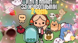 💫🐰__поход в приют зс жиаотными__2 часть__🐕🐈⬛