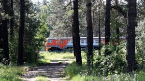 Электропоезд ЭД9М-0030 сквозь лес.