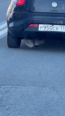 Модернизированный выхлоп авто.