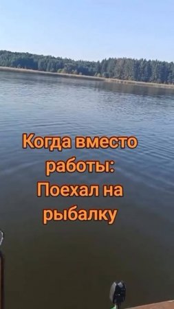Когда вместо работы поехали на рыбалку 🎣