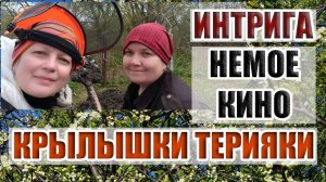 34. ШИНЫ ОТ СОСЕДКИ И НЕМОЕ КИНО. ЧТО МЫ ТВОРИМ НА УЧАСТКЕ?