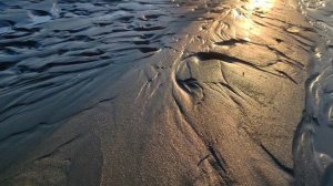 Весеннее пробуждение: Очарование природы в каждом кадре. Обьгэс. Река Обь, прогулка по лесу