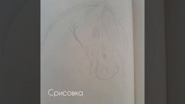 Мои рисунки лошадей 1 часть. смотреть онлайн
