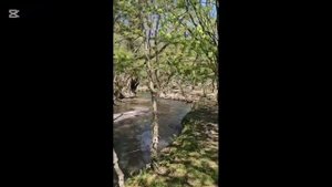 ДЛЯ МОЩНОЙ ПОТЕНЦИИ И ТЕСТОСТЕРОНА УПРАЖНЕНИЯ