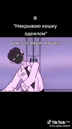 я:просто накрываю кота одеялом
