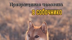 Превращение человека в собачника