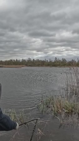 Завел в траву!