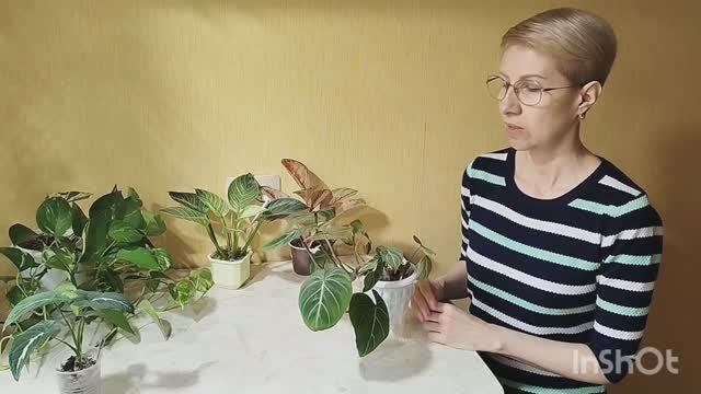 1000005130.mp4