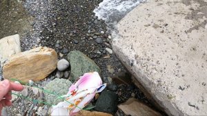 Поиск дикого пляжа на лето в Сочи