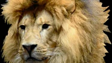 в школу смотреть онлайн